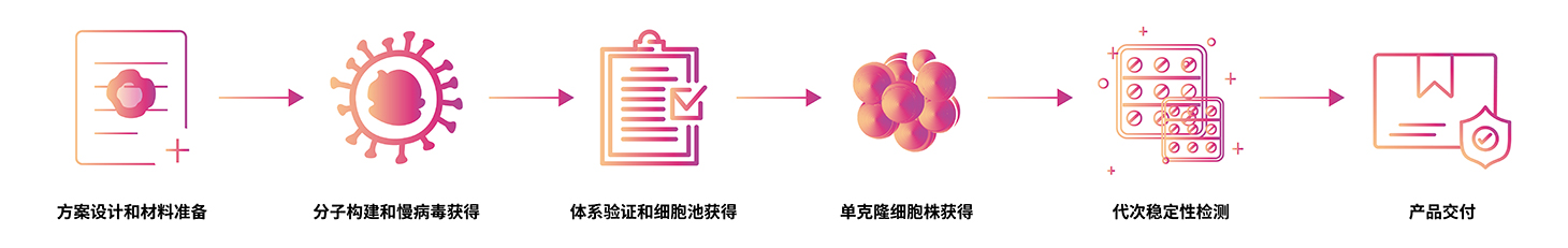 服务流程