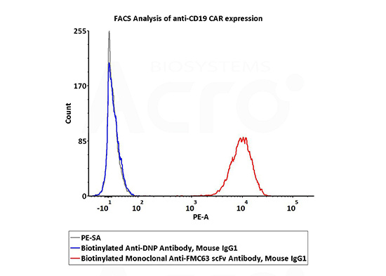 DNP-BM1-F3