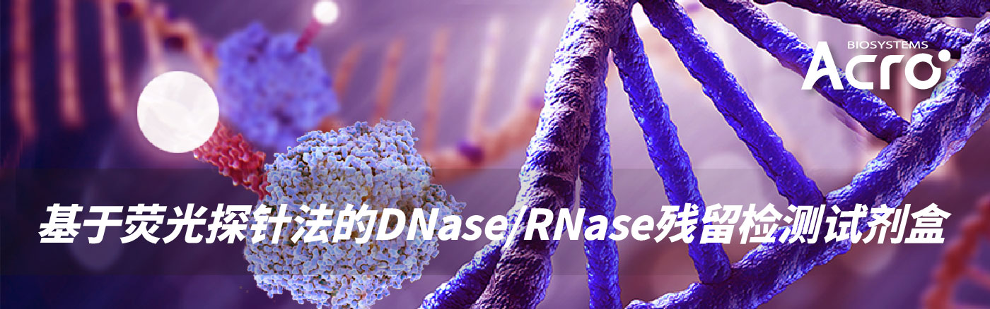 基于荧光探针法的NDase/RNase残留检测试剂盒