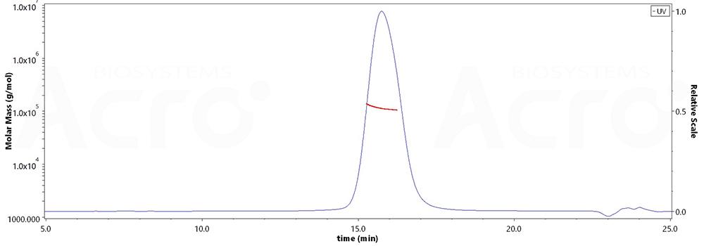 Glycoprotein H & Glycoprotein L/gH & gL (EBV)