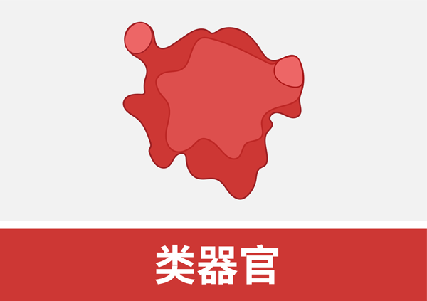 类器官