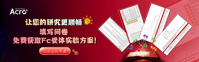 试用装