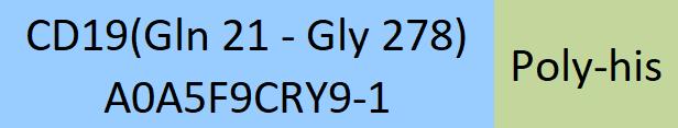 CD19 Structure
