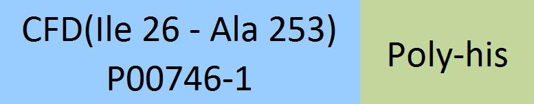 Complement Factor D Structure