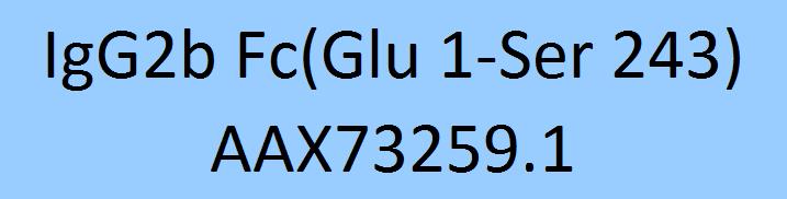 IgG2b Fc Structure