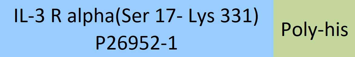 IL-3 R alpha Structure