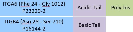 Integrin alpha 6 beta 4 Structure