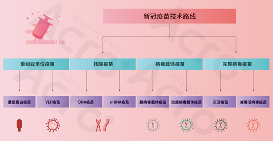 疫苗技术路线