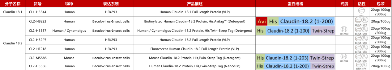 Claudin 18.2蛋白产品