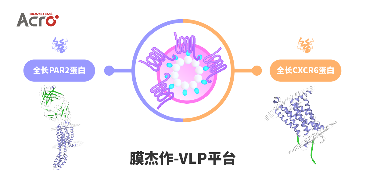 VLP平台
