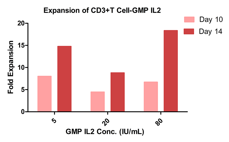 GMP IL-2 Conc