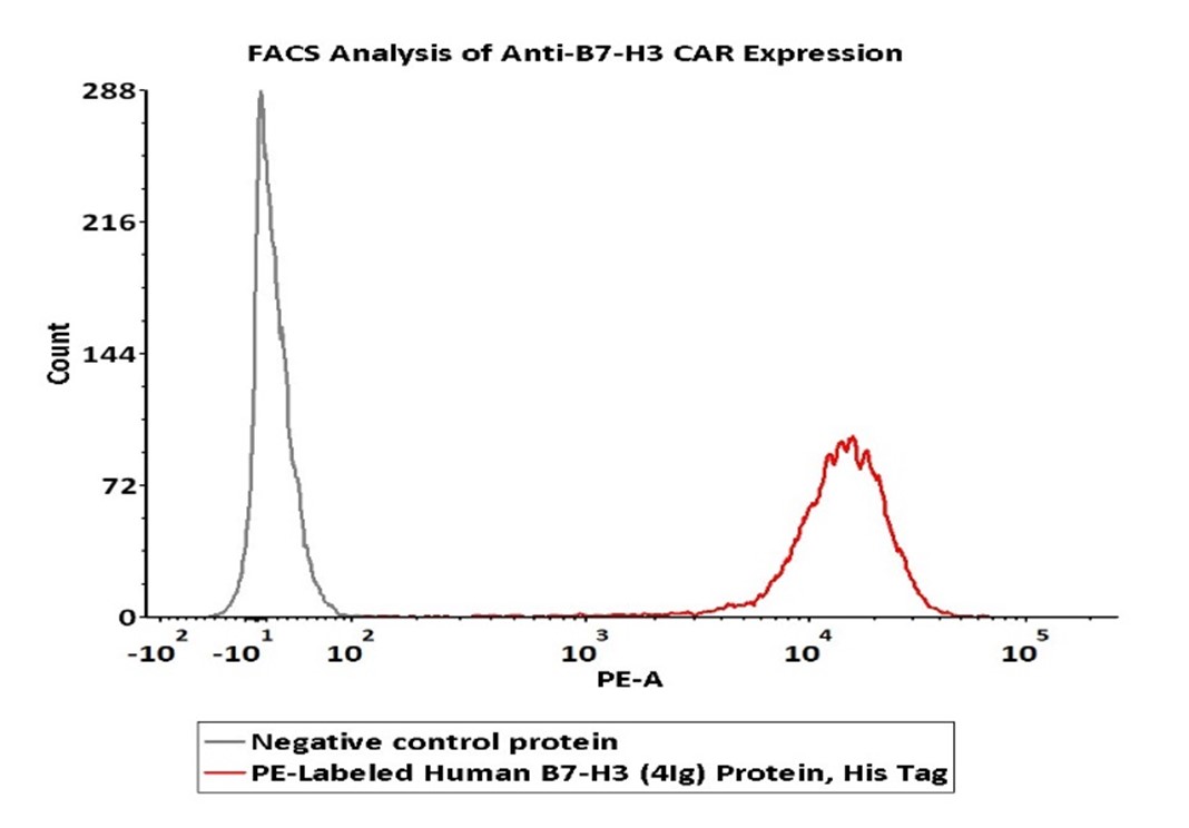 高生物活性经FACS验证