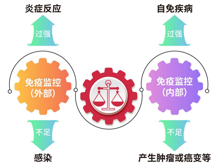 TL1A报告基因细胞株