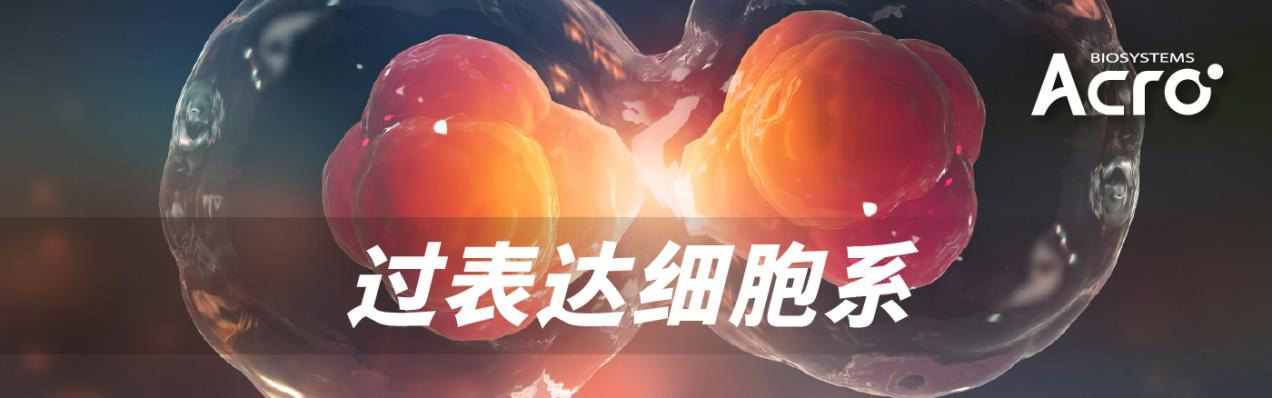 TL1A报告基因细胞株