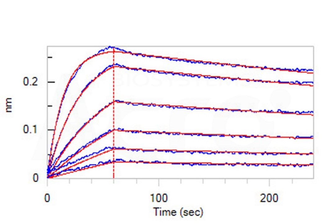 OX40/OX40 Ligand