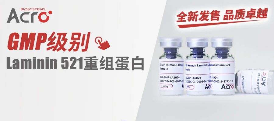 过继性T细胞疗法生产解决方案