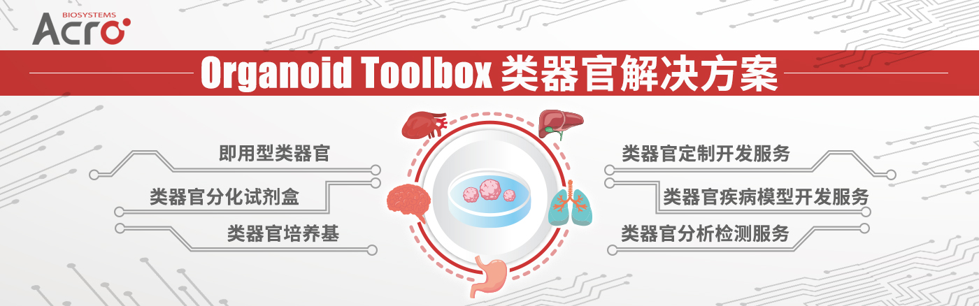 预制前体纤维（PFFs）在神经退行性疾病中的应用