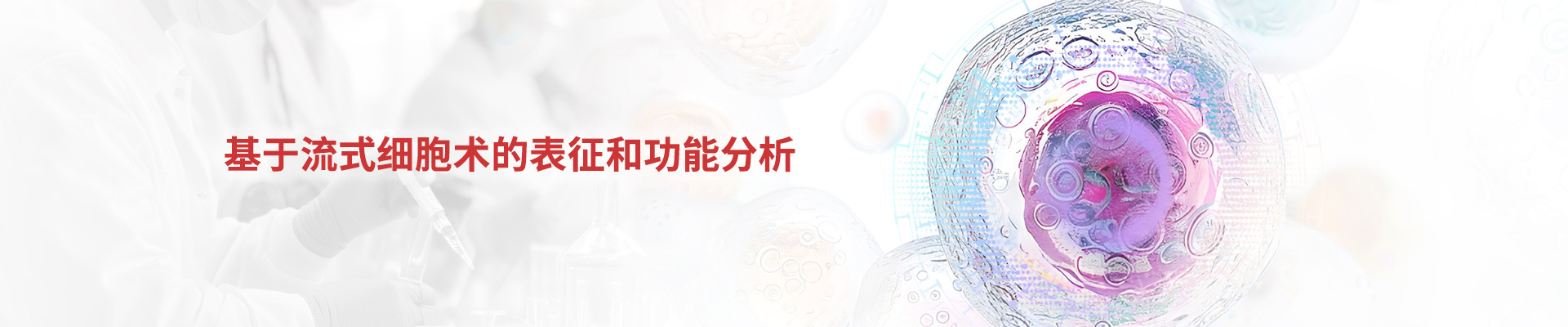高活性抗体助力Treg细胞精准检测