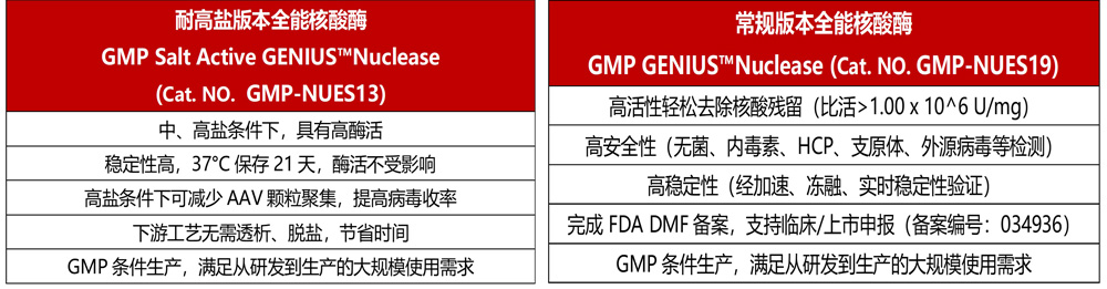 全能核酸酶