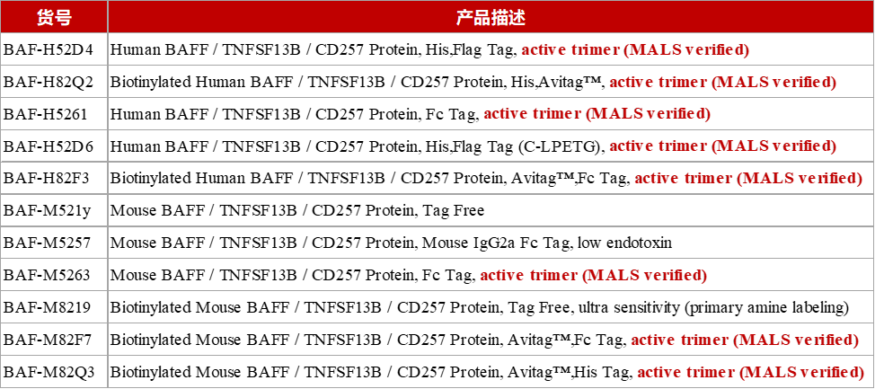 从源头狙击IgA肾病！APRIL抑制剂临床新突破