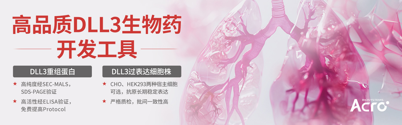 安进DLL3/CD3双抗临床3期取得重大突破