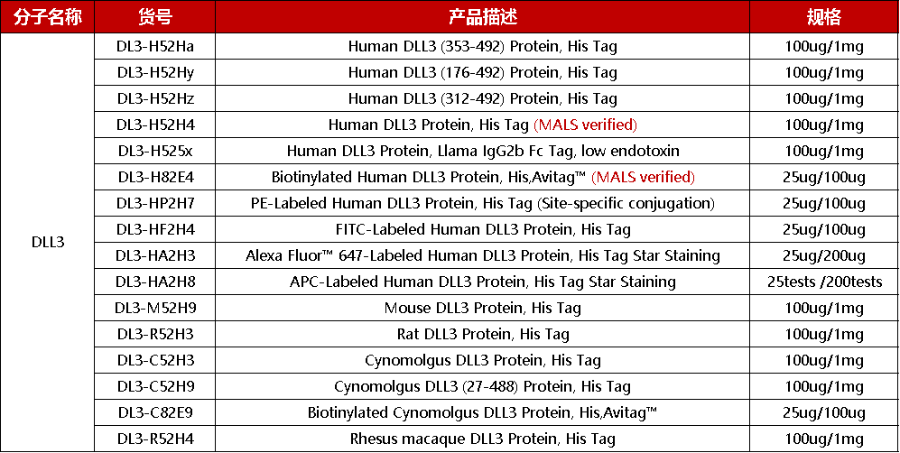 安进DLL3/CD3双抗临床3期取得重大突破