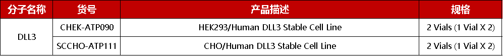 安进DLL3/CD3双抗临床3期取得重大突破