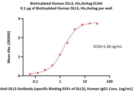 安进DLL3/CD3双抗临床3期取得重大突破