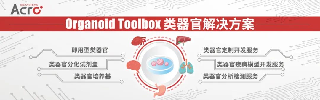 FDA宣布逐步淘汰动物实验：类器官时代加速到来！