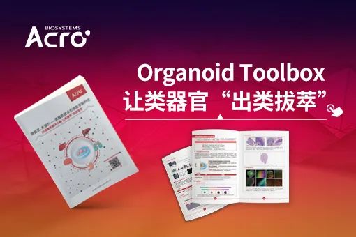 FDA宣布逐步淘汰动物实验:类器官时代加速到来!