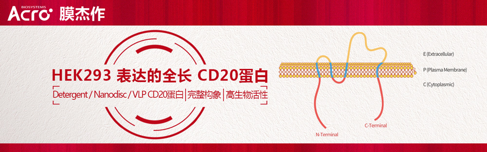 罗氏CD20单抗在华落地