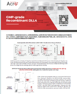 GMP-grade Recombinant DLL4& Beads 