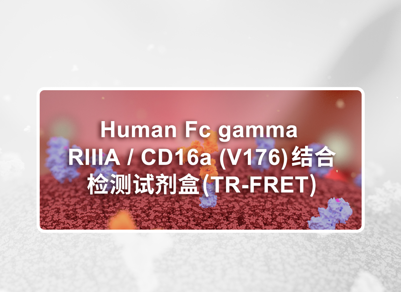 Fc Receptor Binding Kits (TR-FRET) 试用装申请表单