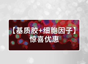 基质胶与细胞因子惊喜优惠