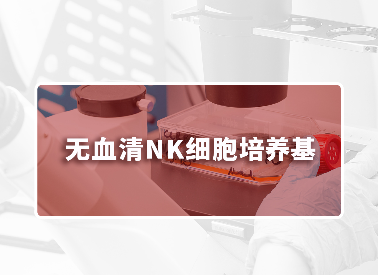 【试用装】无血清NK细胞培养基