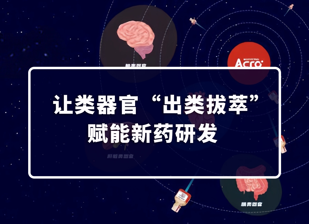 【下单送徽章】让类器官“出类拔萃”赋能新药研发