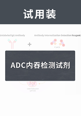 【试用装】ADC内吞检测试剂