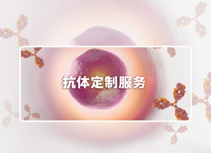【抽奖来袭】抗体定制服务，百元豪礼放送