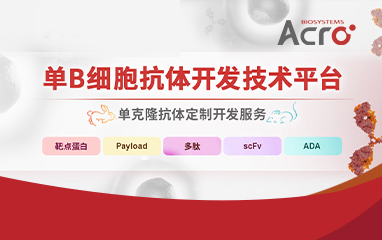 让抗体更“懂你”：单B细胞抗体开发技术服务